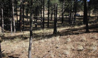 Valley Road lot 41, Angel Fire, NM 87710
