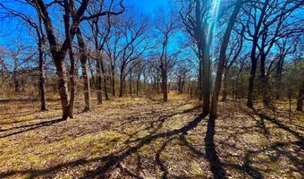 Tbd 13.7+/- Acres County Road 2560, Alvord, TX 76225