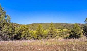 737 Raccoon Ln, Alturas, CA 96101