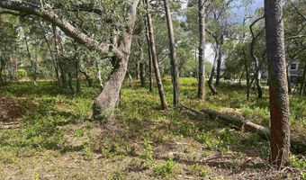 Angus Morrison Drive, Alligator Point, FL 32346
