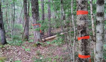 Map 14 lot 50, Andover, ME 04216