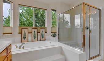337 Genoa Springs Dr, Genoa, NV 89411