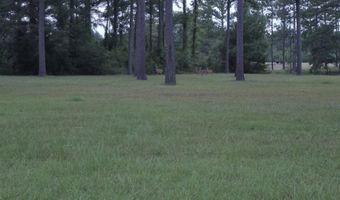 Bush Isle Rd, Andalusia, AL 36421