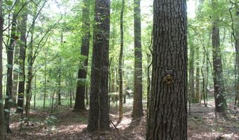 NE Greenhill Trail, Brookhaven, MS 39601