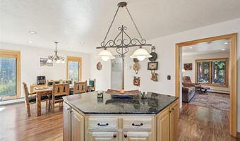 53 Mariposa Pl, Blue River, CO 80424