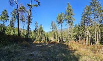 25 XX BURGESS Rd, Addy, WA 99101