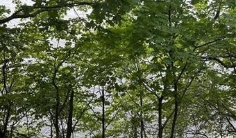 494 Private Road 93, Afton, OK 74331