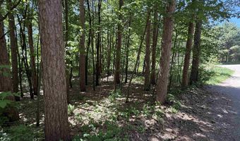 ARROWHEAD ROAD lot 16, Amherst Junction, WI 54407