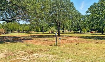 Tbd1 FM 1189, Brock, TX 76087