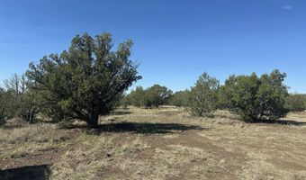 1325 W Ralphs Cir, Ash Fork, AZ 86320