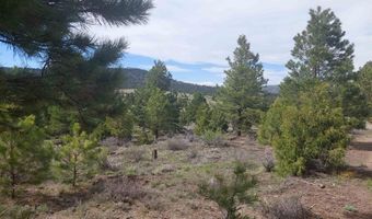 01195 Rito Hondo Rd, Antonito, CO 81120