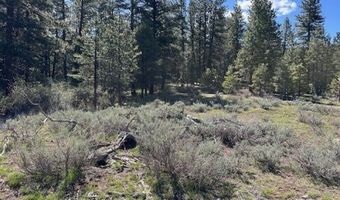 McKenny Dr, Alturas, CA 96101