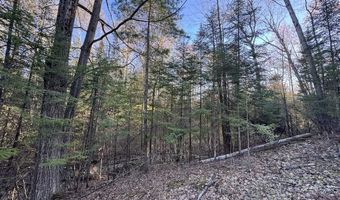 V/L Wildwood Road lot 1, Alger, MI 48610