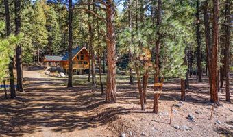 12444 County Road 501, Bayfield, CO 81122
