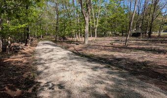 8933 S E Torch Lake Dr, Alden, MI 49612