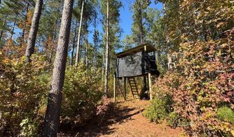 TBD Binnicker Bridge Road, Bamberg, SC 29003