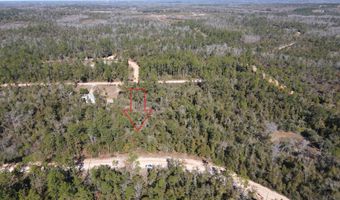 Trenton Avenue, Alford, FL 32420