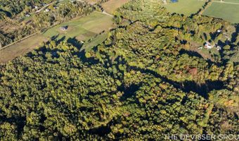 VL 61acres 34th, Allegan, MI 49010
