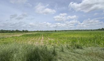Dummyline Road, Batesville, MS 38606
