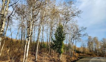 Quigg Hollow Road, Andover, NY 14806