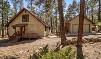 10 County Rd 2271, Alpine, AZ 85920