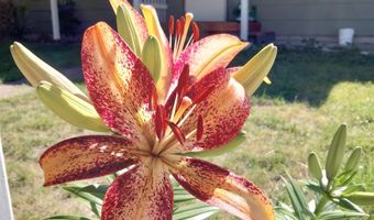 2691 Southview Pl, Burley, ID 83318