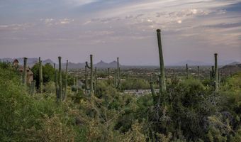 41927 N SAGUARO FOREST Dr 107, Scottsdale, AZ 85262