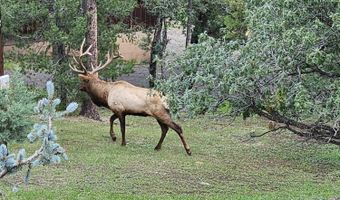PN TBD BACHE ST & MESITA DR, Alto, NM 88312