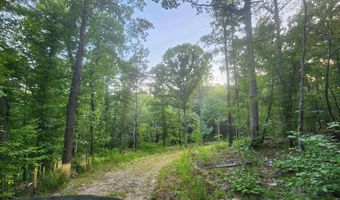 Lot 7 Oversprings Drive, Alexander, AR 72002