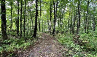 Danville Hill Road, Cabot, VT 05647