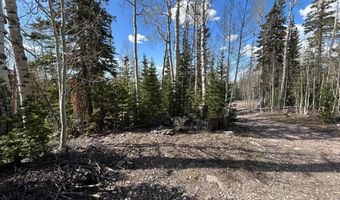 468 E Trail Rd, Brian Head, UT 84719