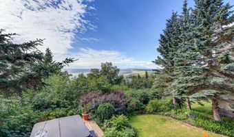 18722 Guillemot Cir, Anchorage, AK 99516