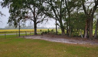 5145 County Road 232, Bell, FL 32619