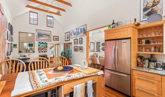 308 Park Ave, Aspen, CO 81611