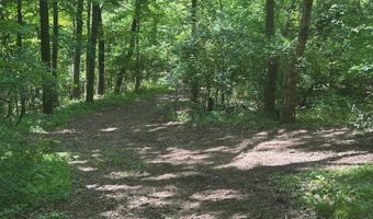 10515 Paw Paw Springs Rd, Arrington, TN 37014