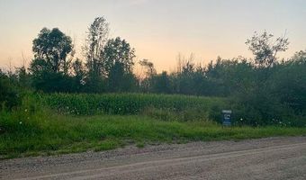 00 State Rd, Applegate, MI 48401