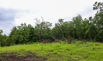 14 5 Neil Robinson Rd, Anderson, MO 64831