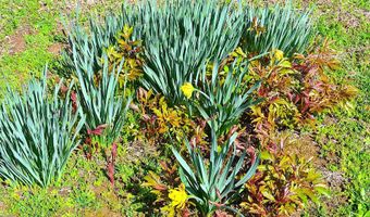 5557 Flat Mountain Rd, Alderson, WV 24910