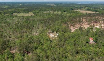 1250 Mosley Rd, Lincolnton, GA 30817
