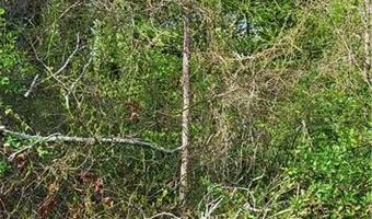 1642 R2 Kersey Valley Rd, Archdale, NC 27265