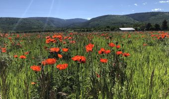 1745 CROOKED CREEK Rd, Alta, WY 83414