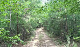 285 Co Rd 235, Arley, AL 35541