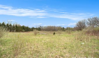 V/L Watts Road, Allegan, MI 49010