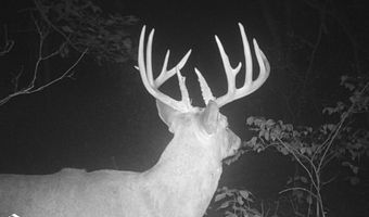 Tbd 194th Avenue, Argyle, IA 52619