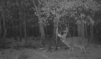 197 Th Trl, Albia, IA 52531