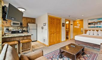 535 S PARK Ave 209, Breckenridge, CO 80424