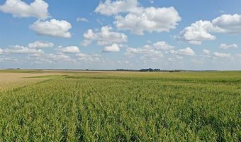 Marsh Avenue, Allison, IA 50602