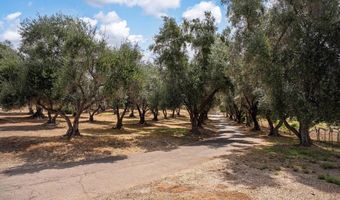 450 SUMMERHILL Ct, Alpine, CA 91901
