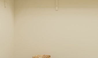 806 Camp Station Dr Plan: The Crimson, Dayton, NV 89403