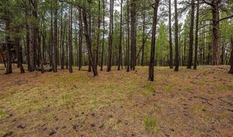 16 Calle De Zamora, Angel Fire, NM 87710